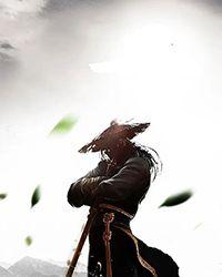 傻妃是个狠角色