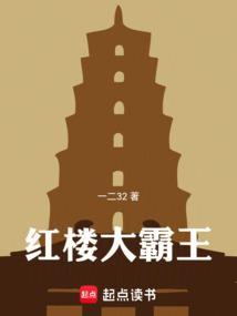 红楼大霸王TXT