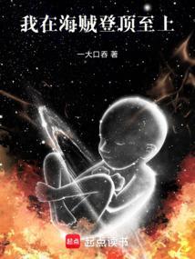 我在海贼神级