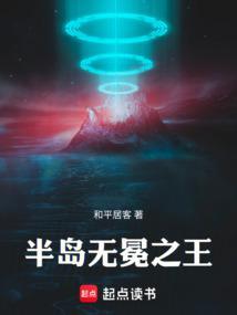 半岛无冕之王停运补偿方案