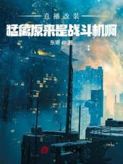 改装 猛禽