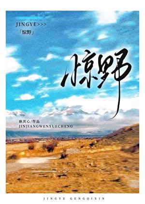 惊野全文