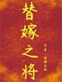 替嫁之将讲的什么