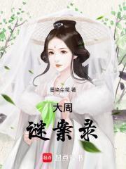 大周谜案录TXT