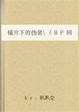 hp镜片下得伪装