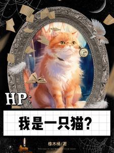 我是一只猫猫