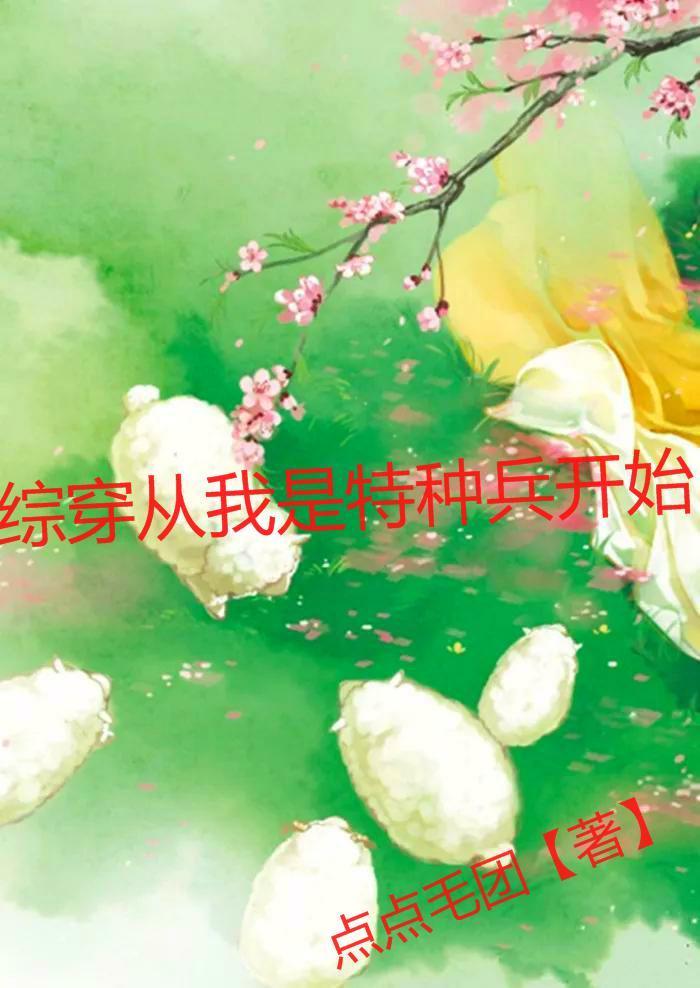 综影视我是特种兵系列女视角