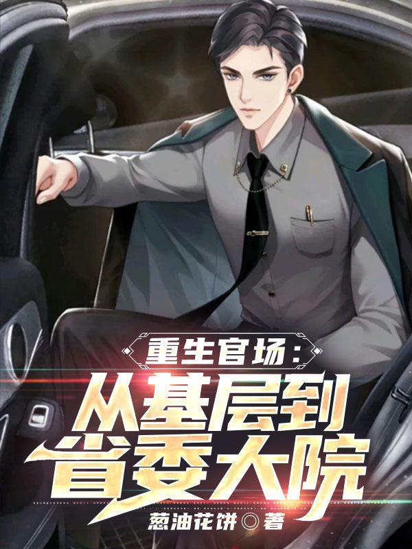 官场从乡到县市再到省委书记