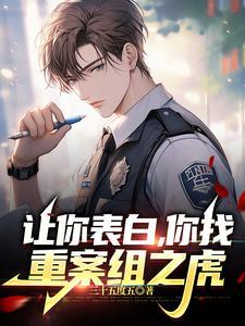 重案组故事