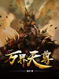 万界天尊境界划分