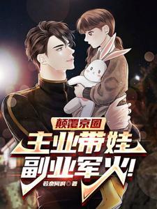 我老婆是大明星改编