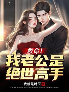我的老公是绝世美男