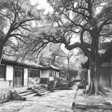 账房先生是什么意思